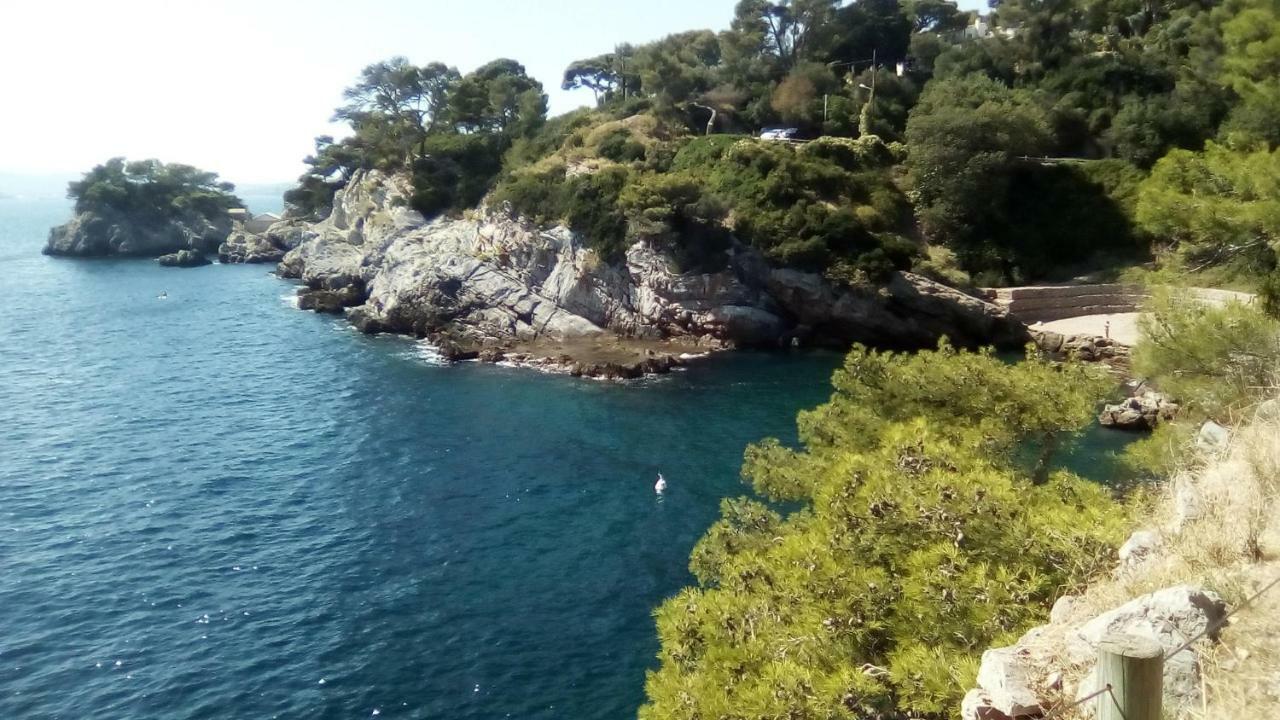 Residence Mayol - Draps Et Serviettes Fournis Toulon Kültér fotó